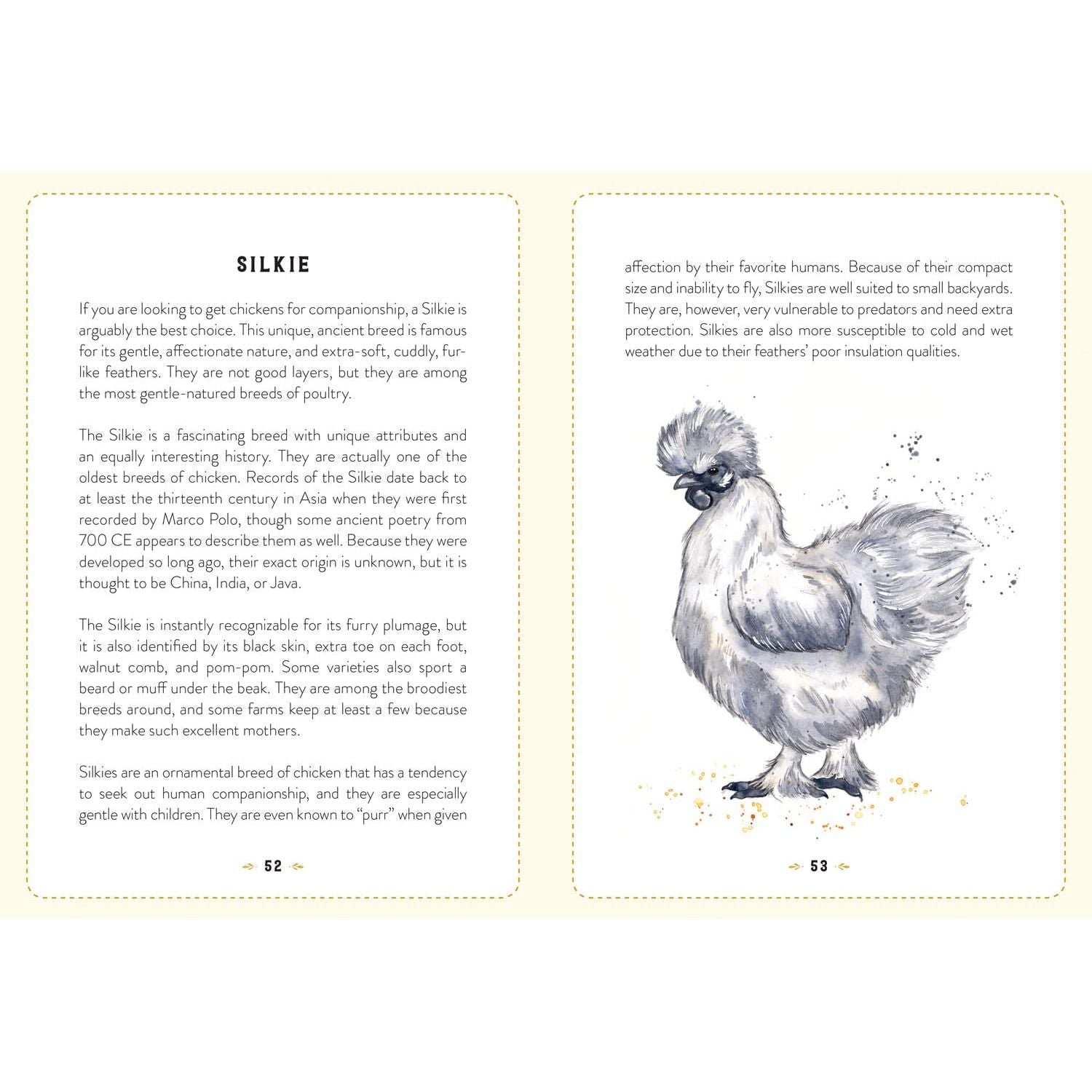 The Little Book of Chickens