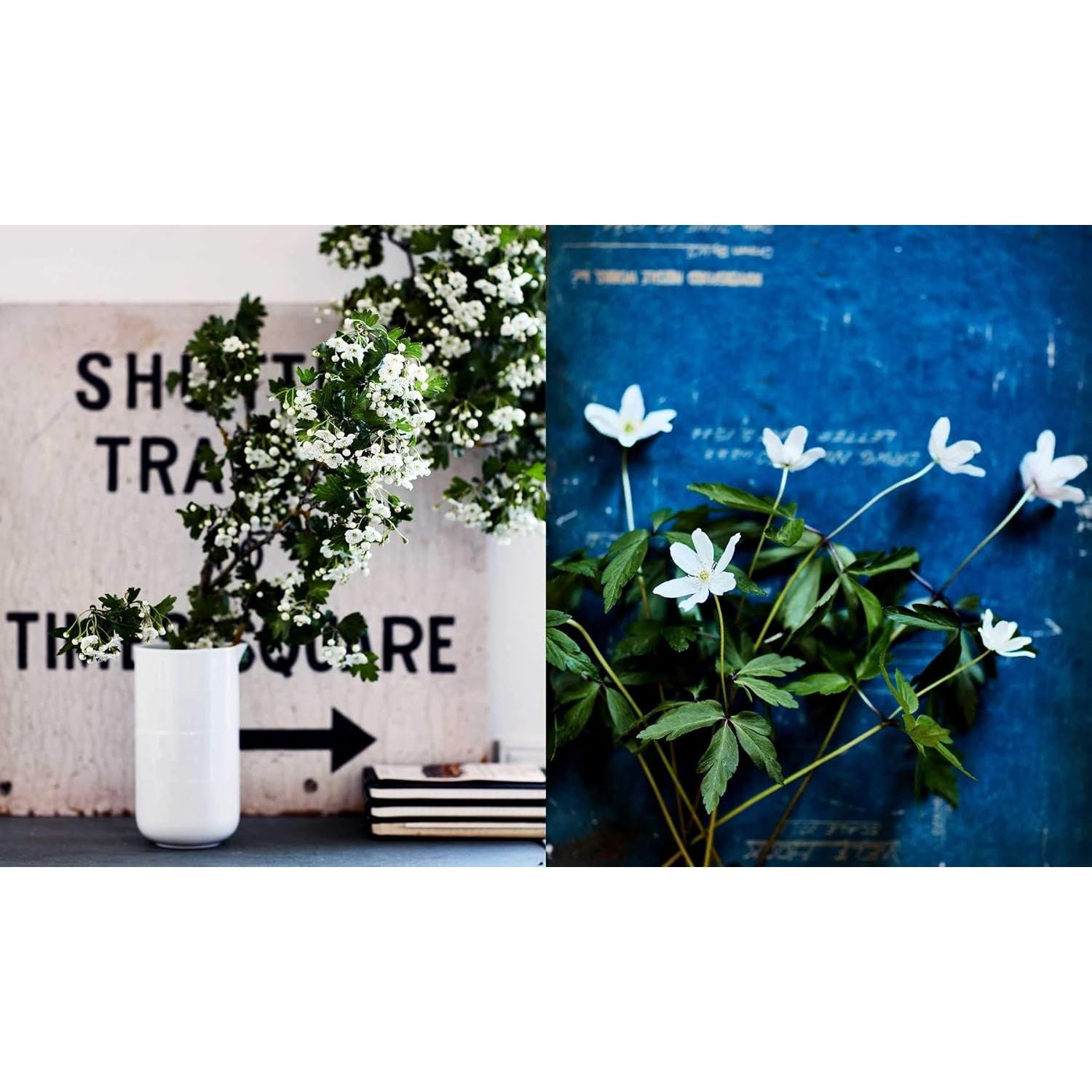 Inspired By Nature | Creating a Personal and Natural Interior