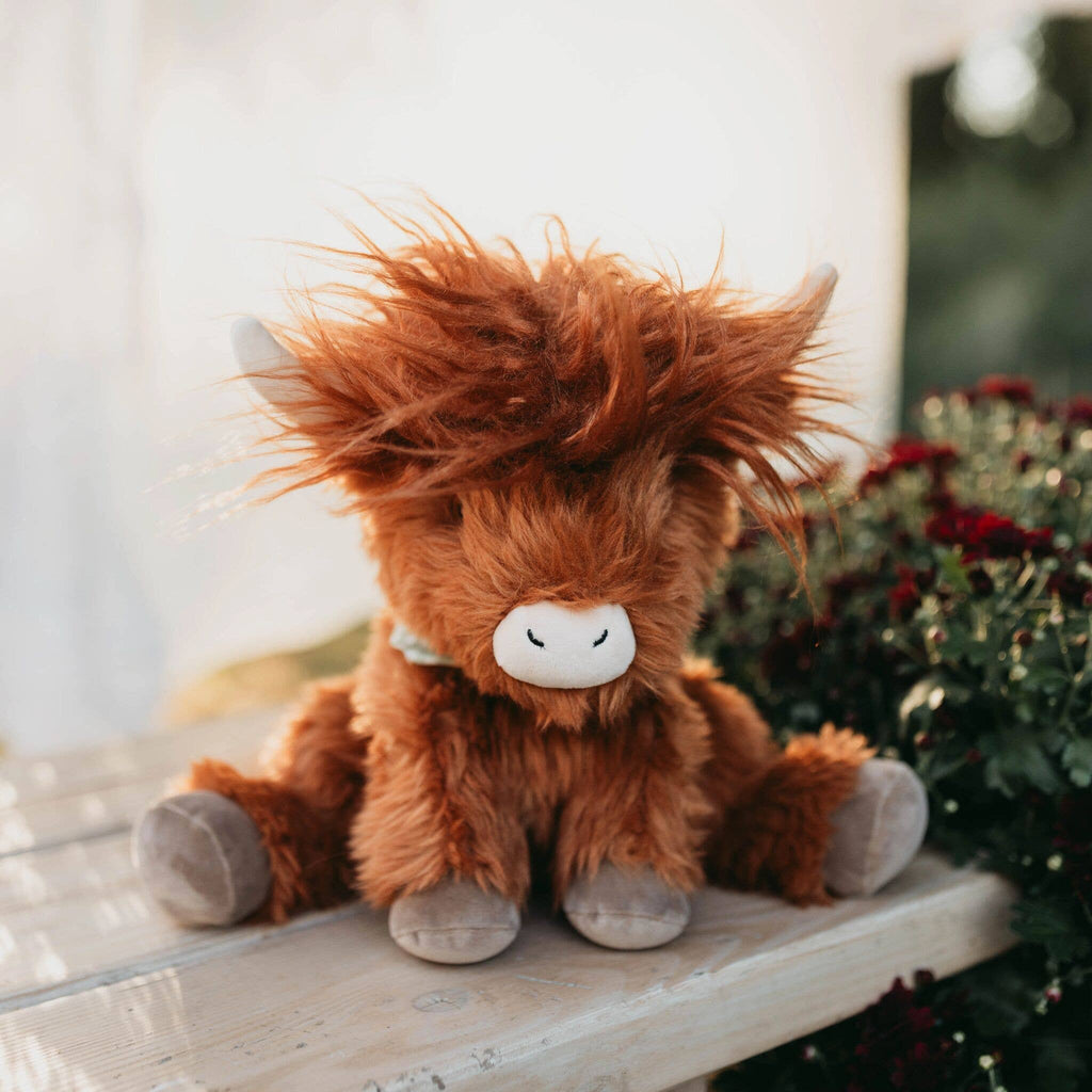 Hamish the Highland Cow