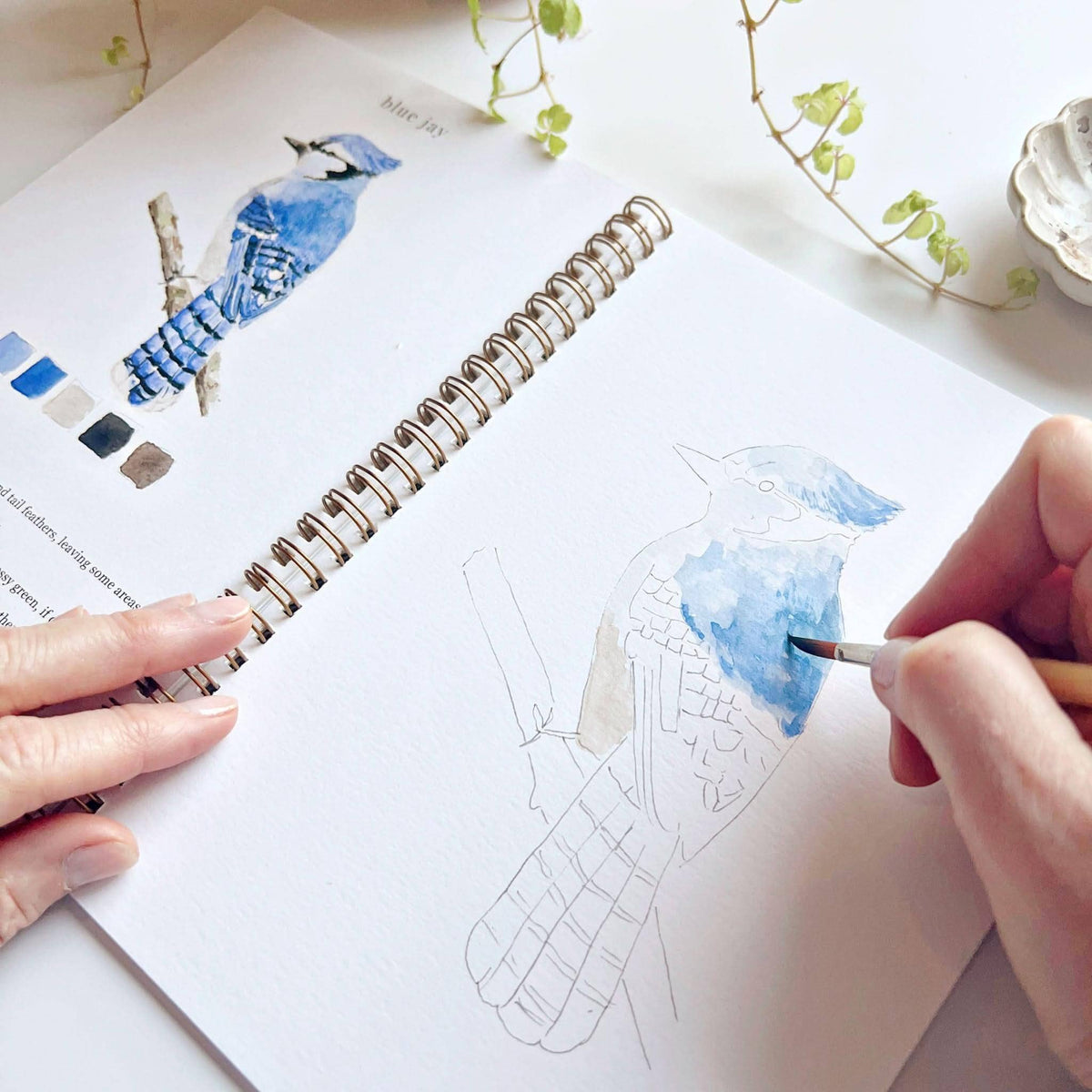 Watercolor Workbook | Birds