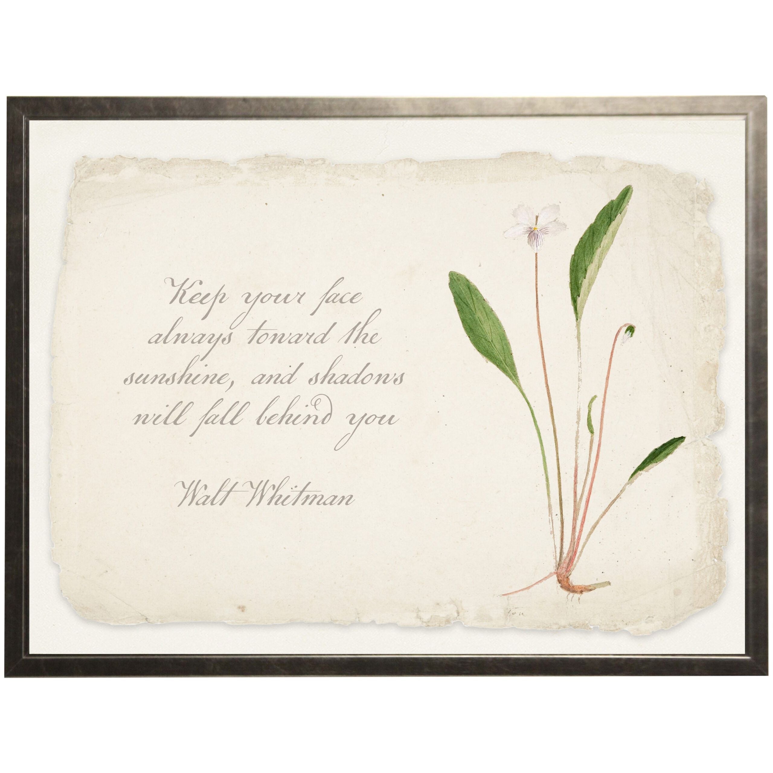 Garden Quotes Framed Art