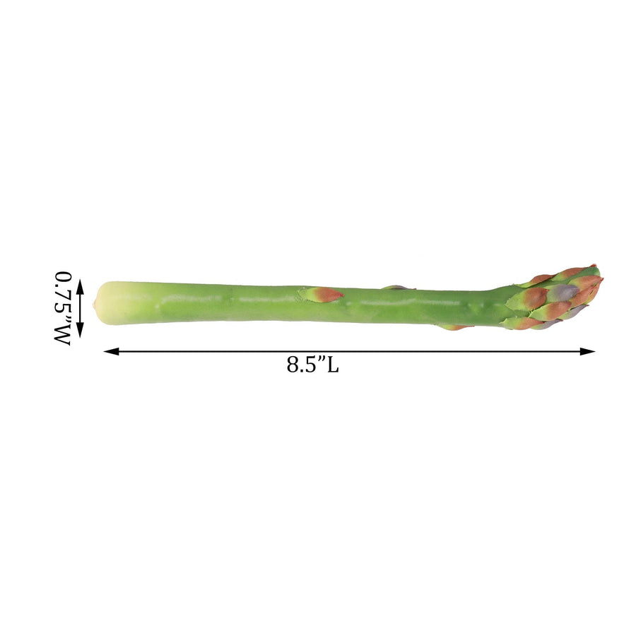 Flora Bunda Inc - Artificial Faux Asparagus FT1488