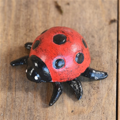 Cast Iron Ladybug
