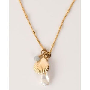 Seashell Necklace