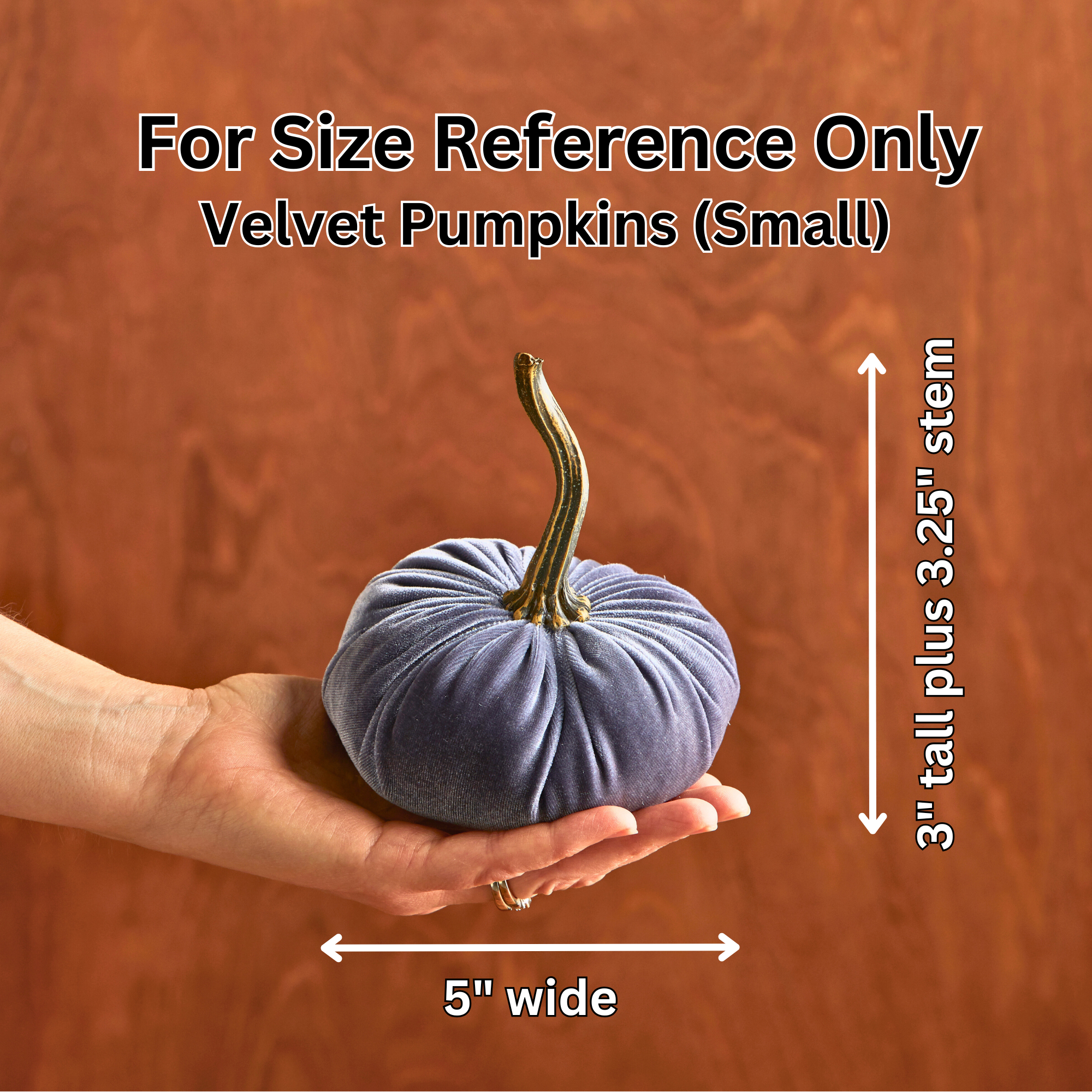 Velvet Pumpkin | Small - Brown