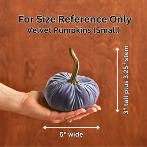 Velvet Pumpkin | Small- Gold