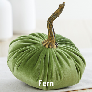 Velvet Pumpkin | Small- Gold