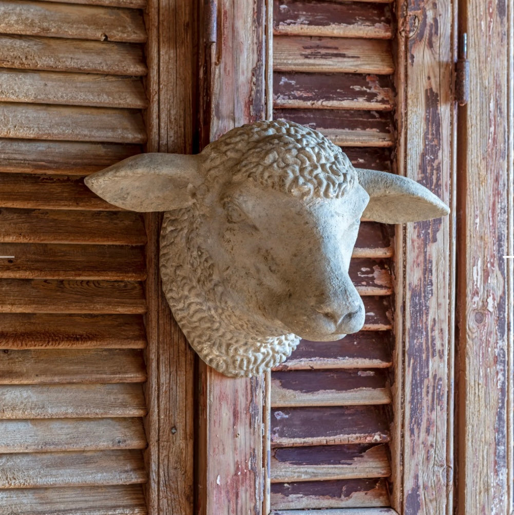 Decorative Weathered Sheep Head