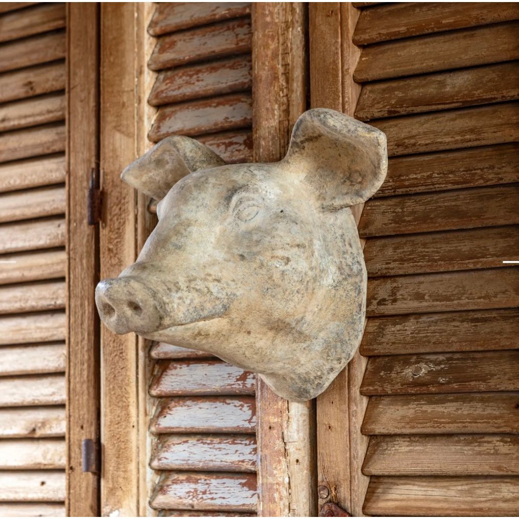 Decorative Weathered Pig Head
