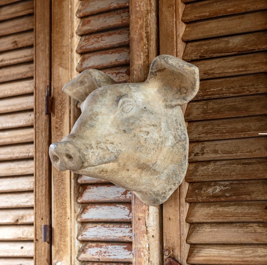 Decorative Weathered Pig Head