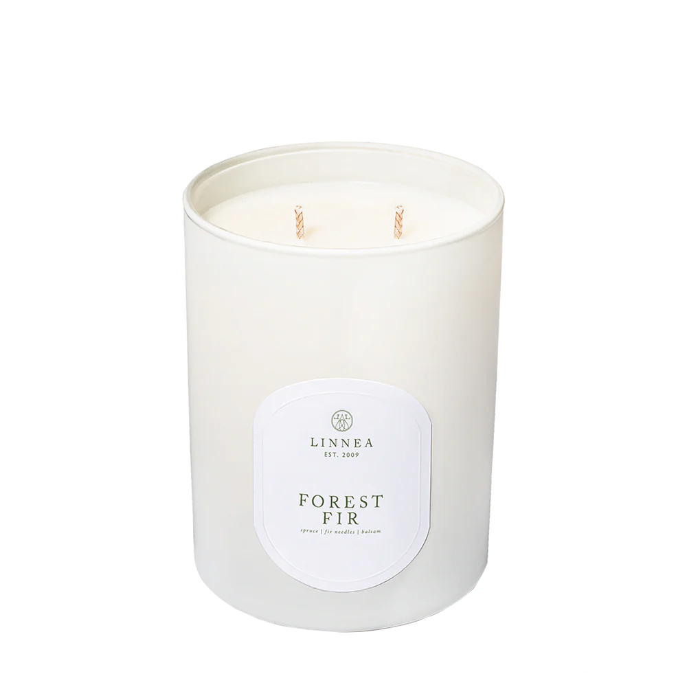 Linnea Candles 2 Wick Candles | Seasonal (Fall/Winter )