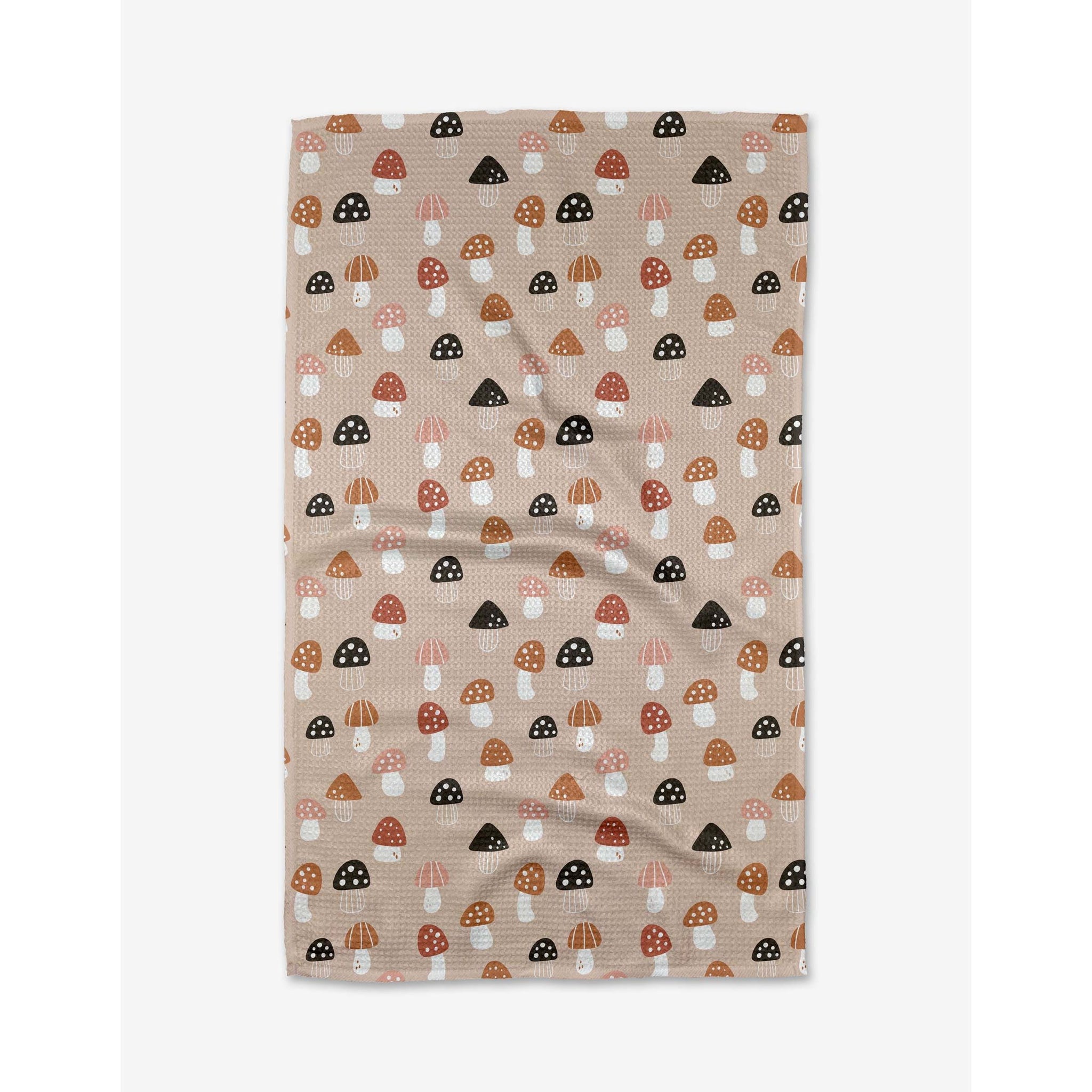 Geometry - Fall Mushroom Harvest