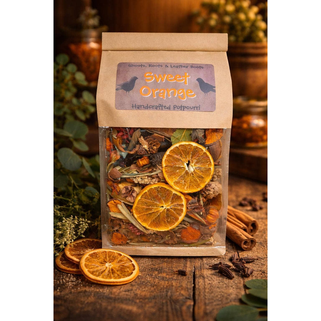 Handcrafted Potpourri | Sweet Orange