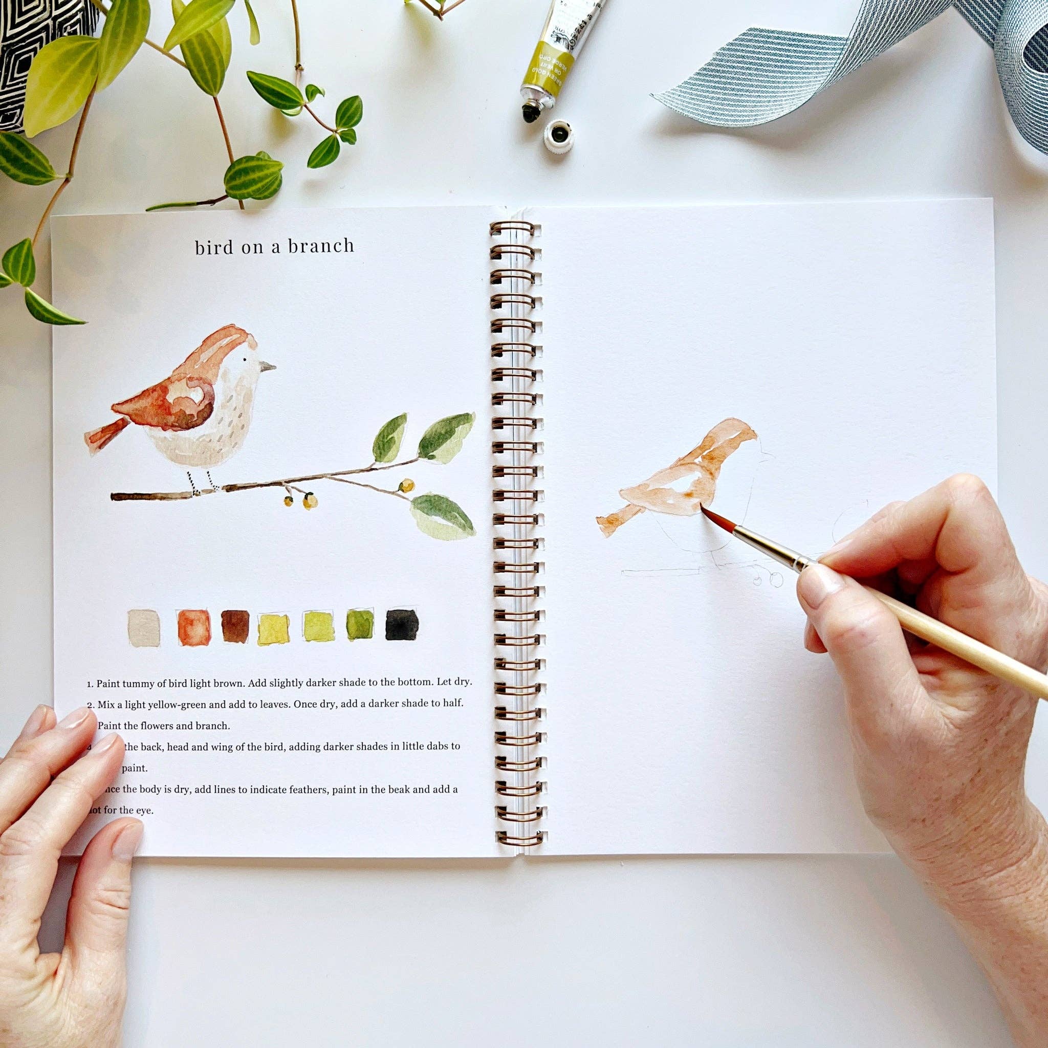 Watercolor Workbook | Animals