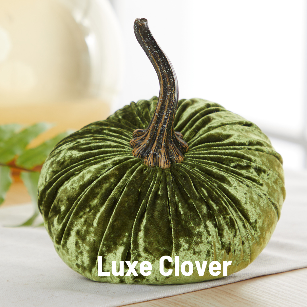 Velvet Pumpkin Large - Harvest