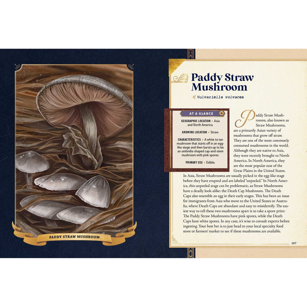 The Little Book of Mushrooms