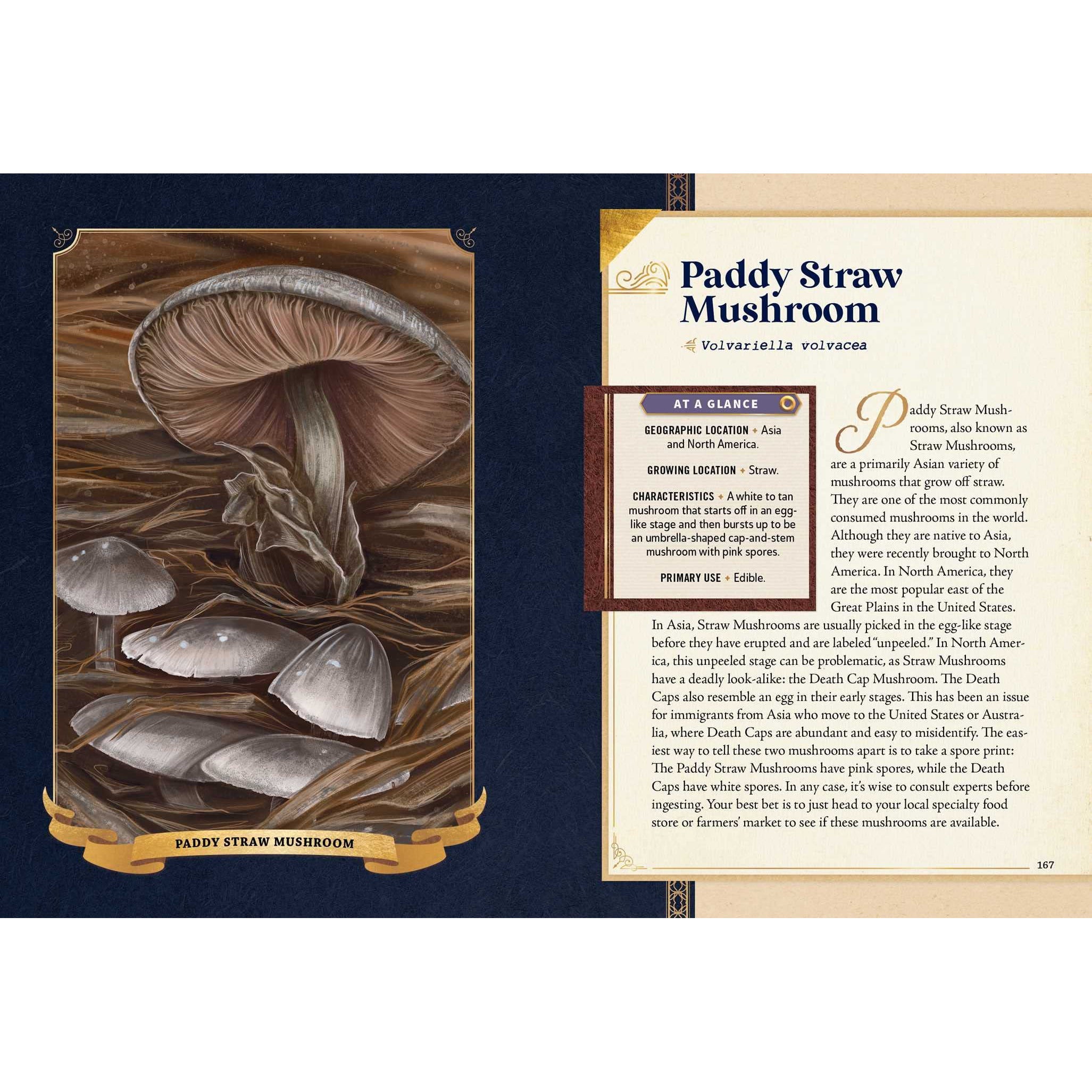 The Little Book of Mushrooms