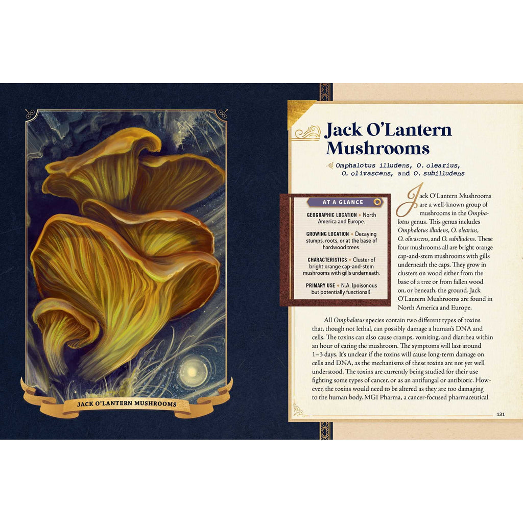 The Little Book of Mushrooms