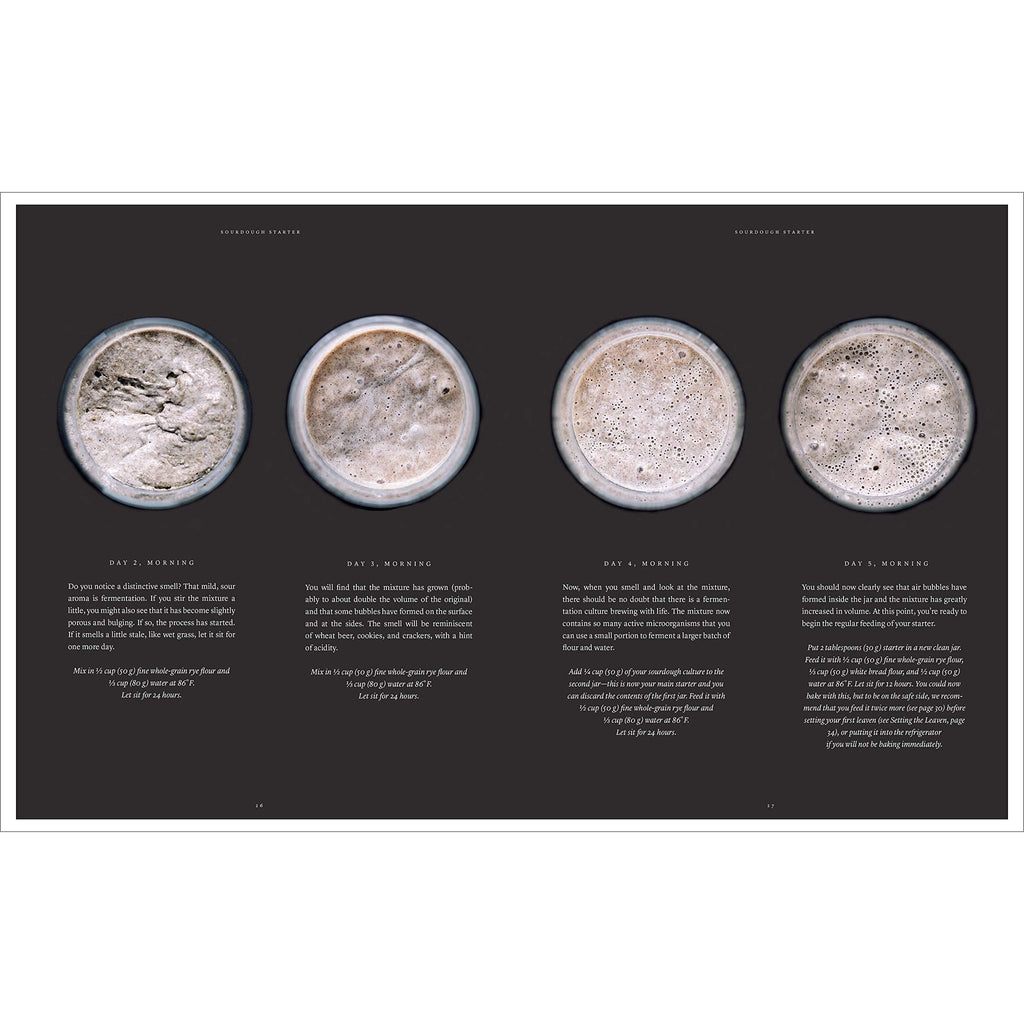Artisan Sourdough: Wholesome Recipes, Organic Grains
