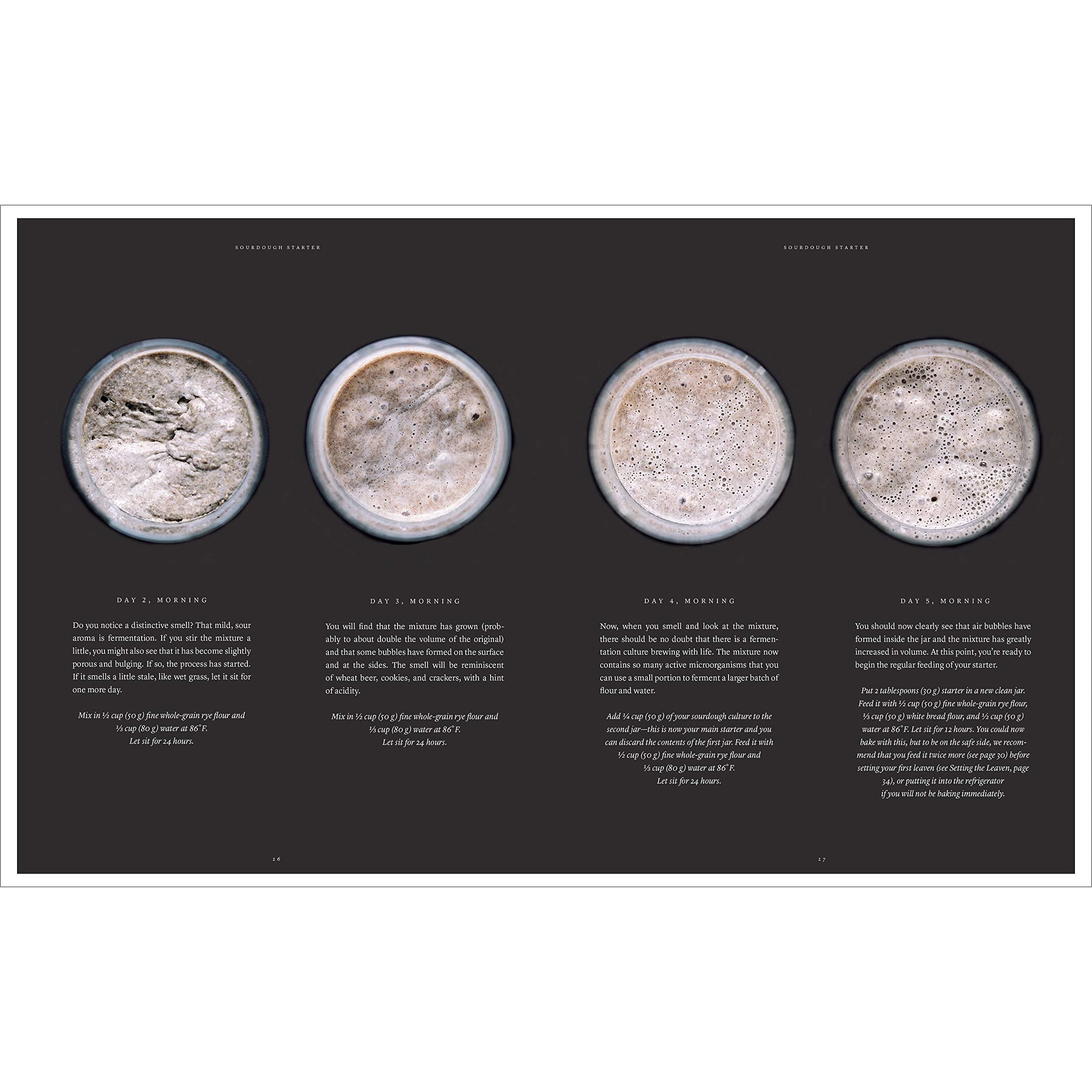 Artisan Sourdough: Wholesome Recipes, Organic Grains