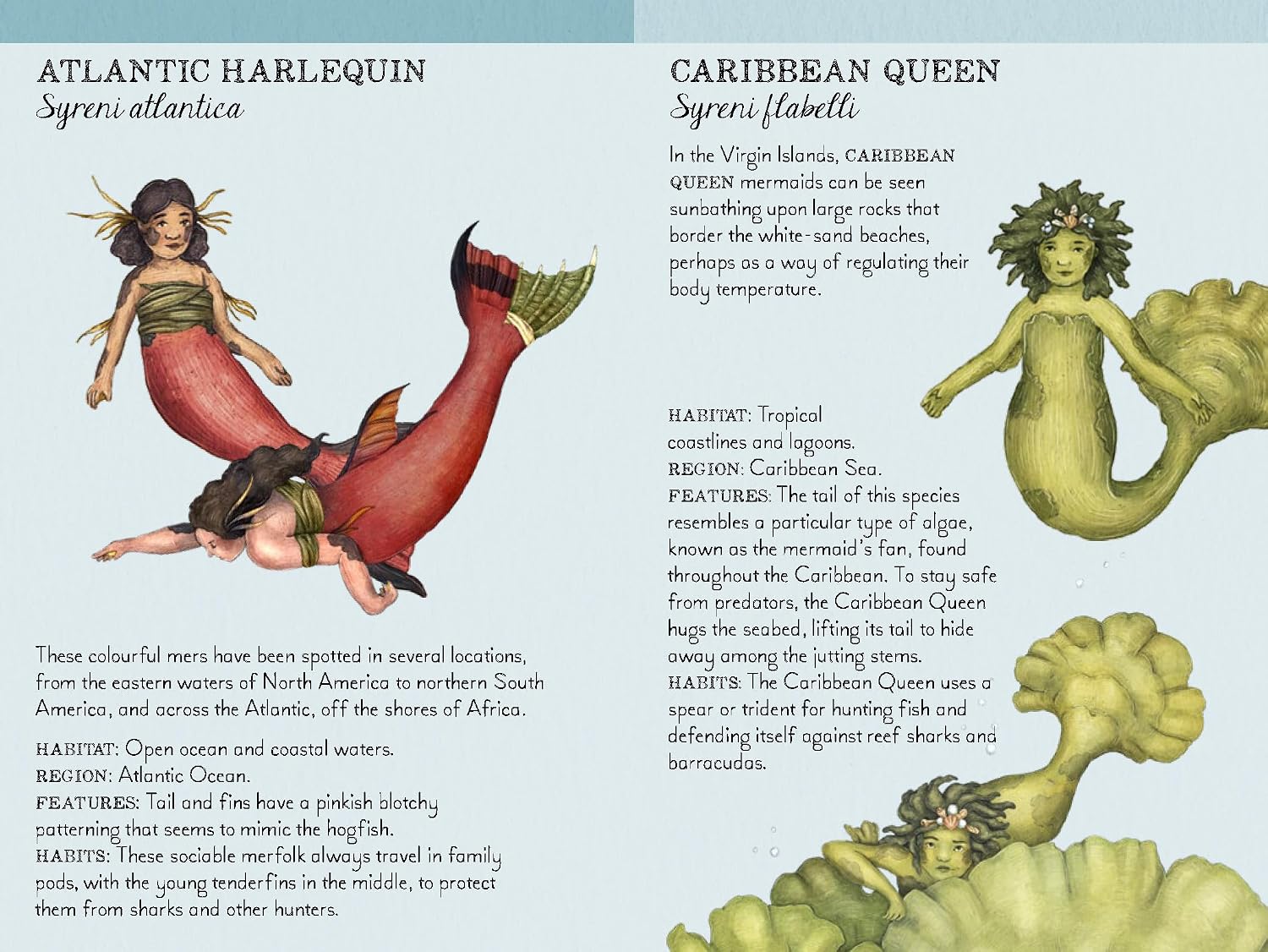 Match the Mermaid: A Memory Game
