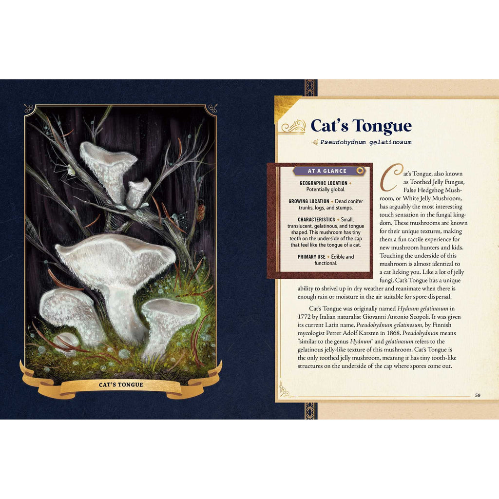 The Little Book of Mushrooms