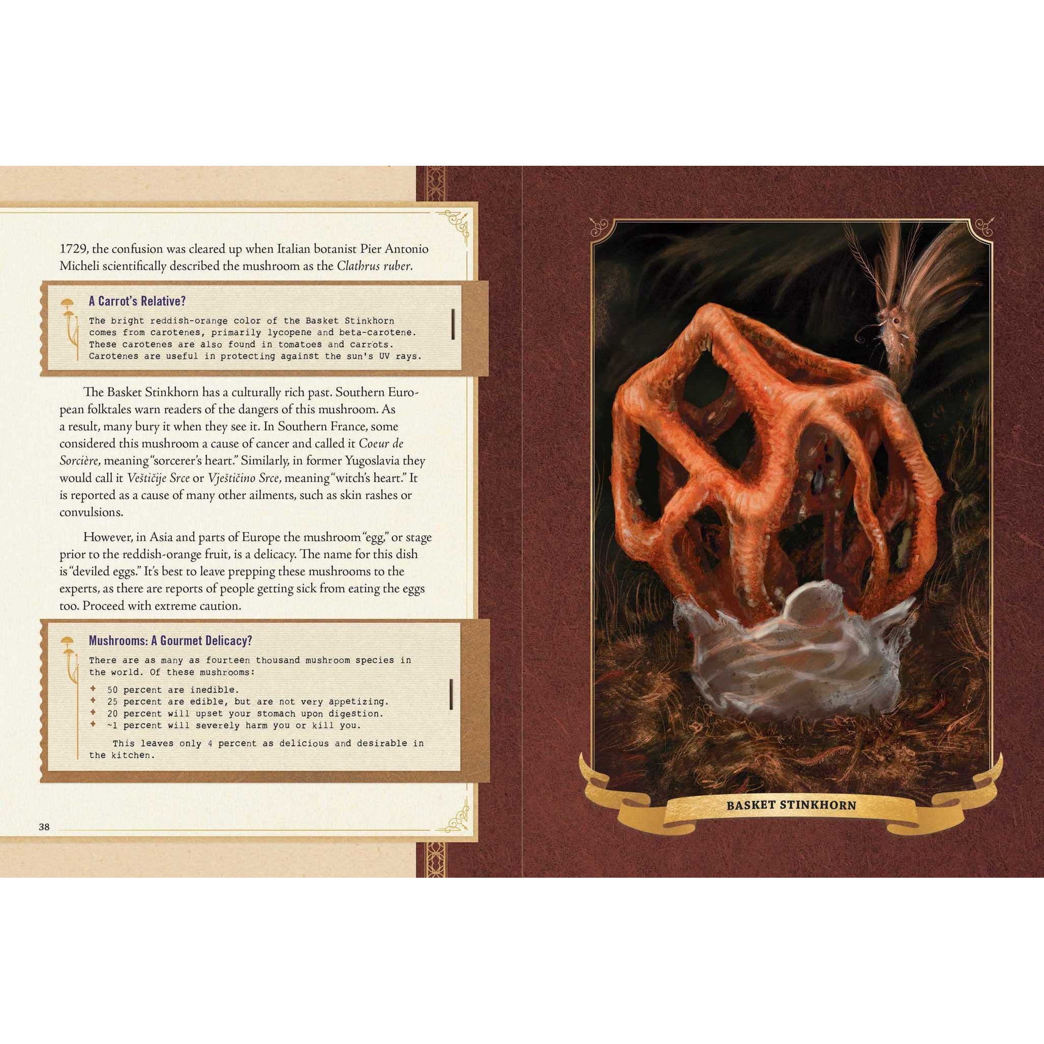 The Little Book of Mushrooms