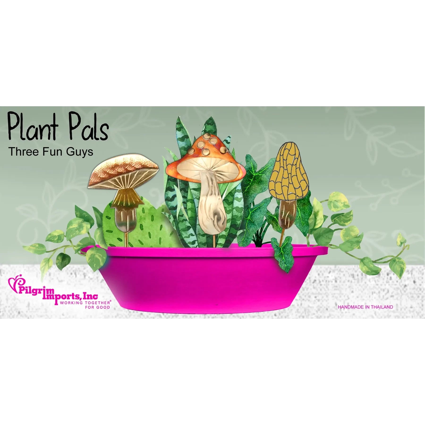 Plant Art | Plant Pals