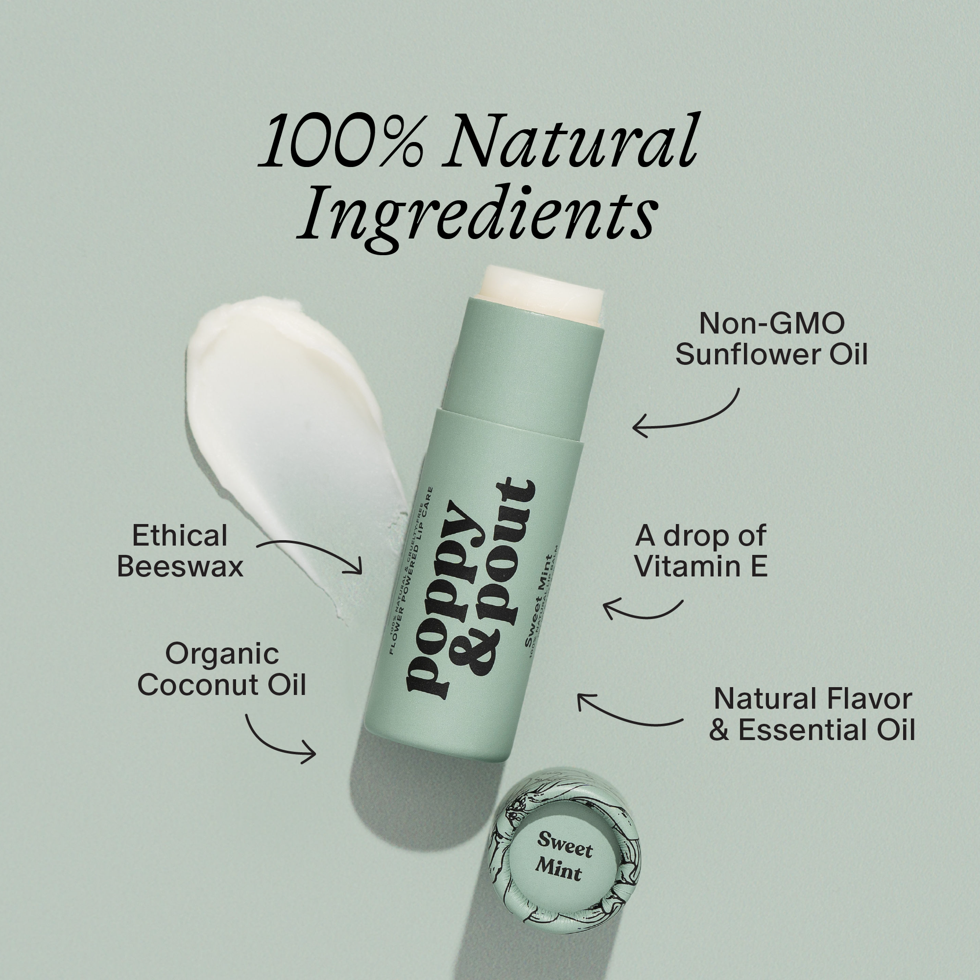 Lip Balm | Sweet Mint