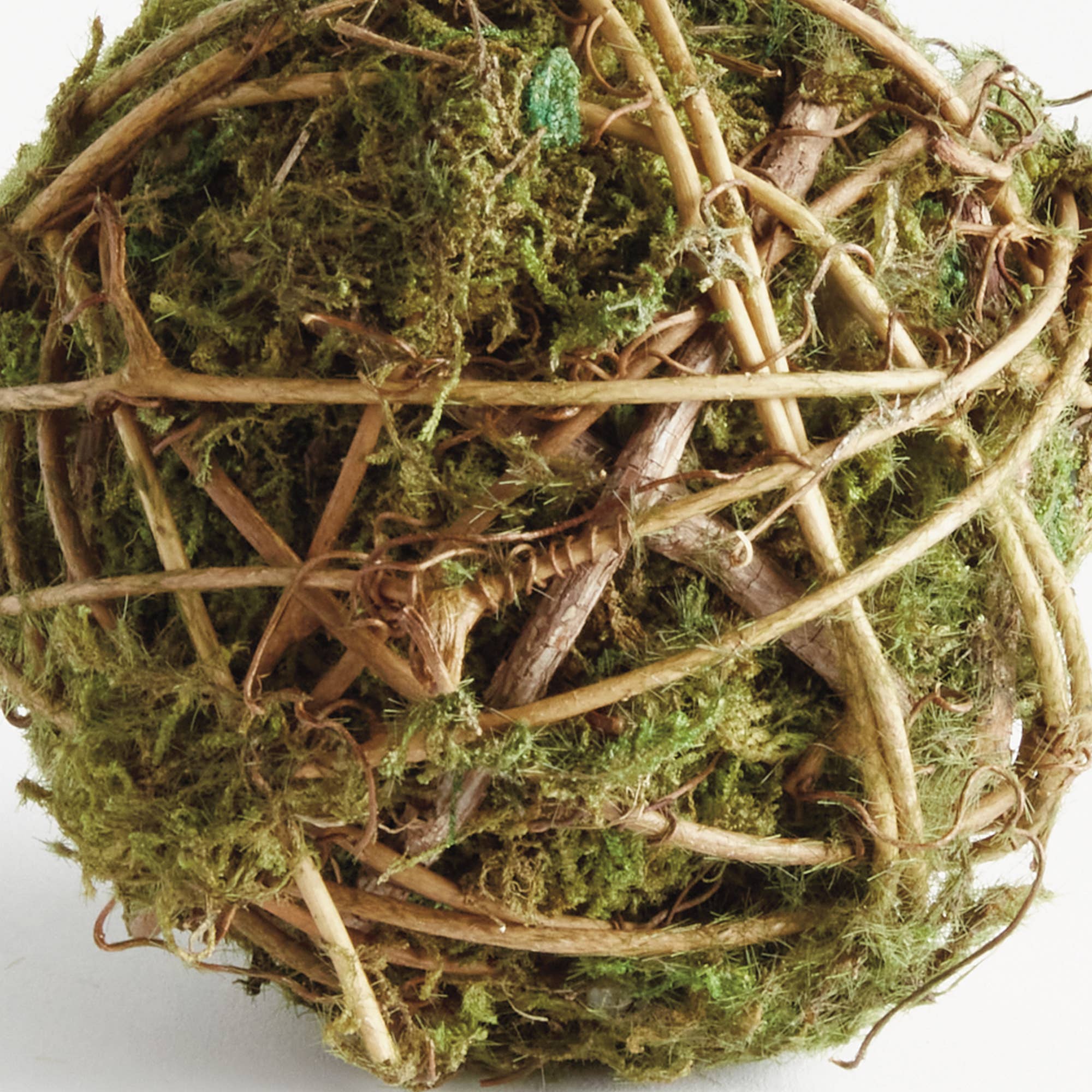 Mossy Vine Orb