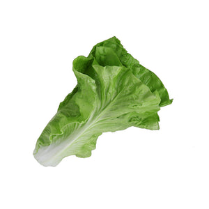Faux Lettuce