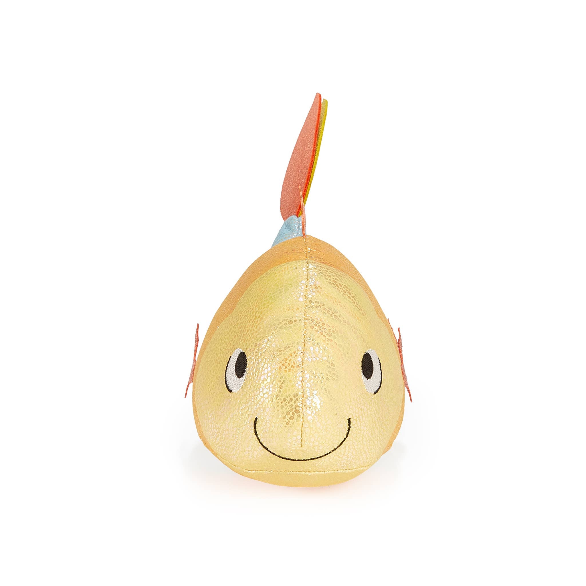 Gus the Guppie Fish