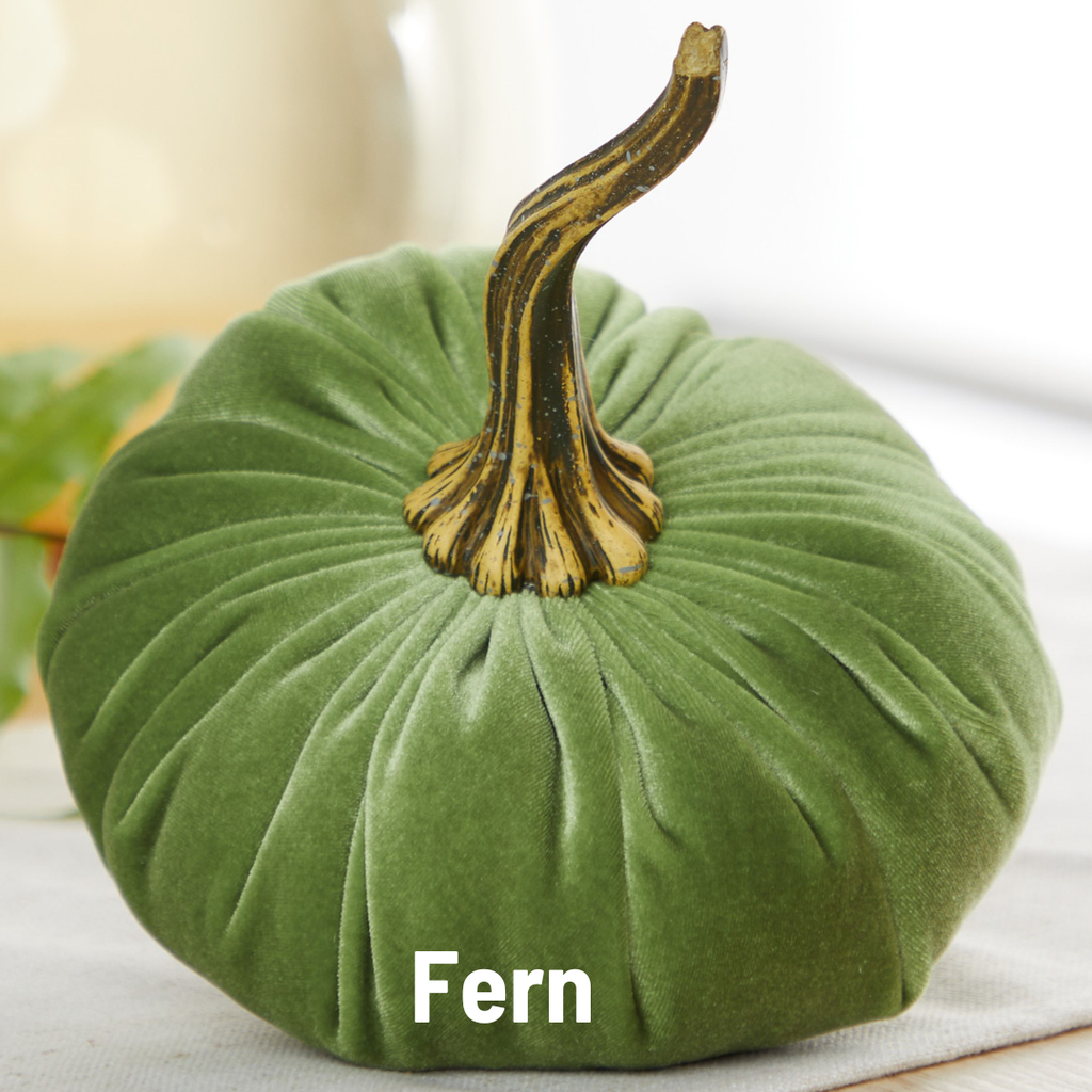 Velvet Pumpkin Large - Harvest