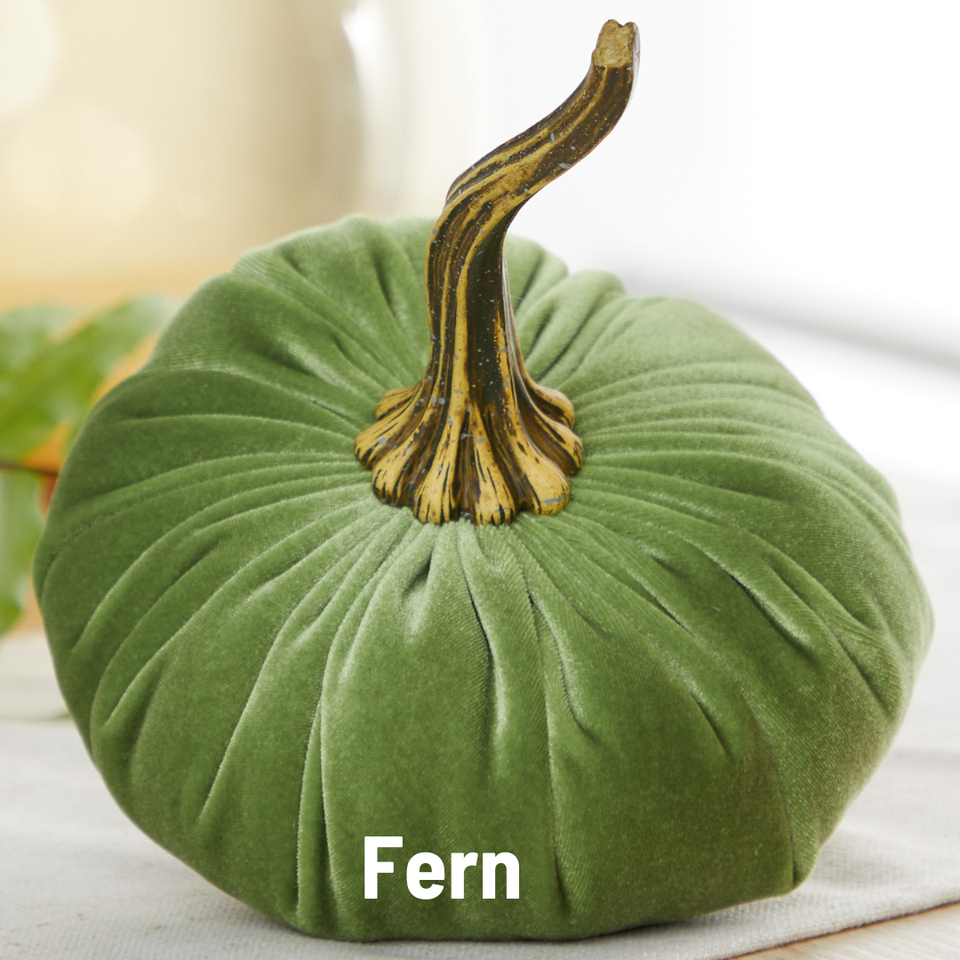 Velvet Pumpkin | Large - Bronze