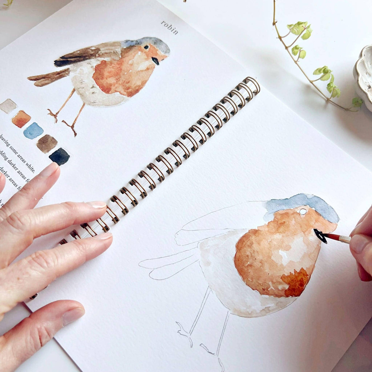 Watercolor Workbook | Birds