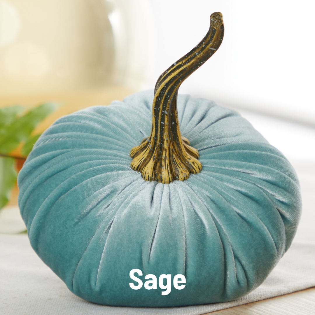 Velvet Pumpkin Large - Harvest