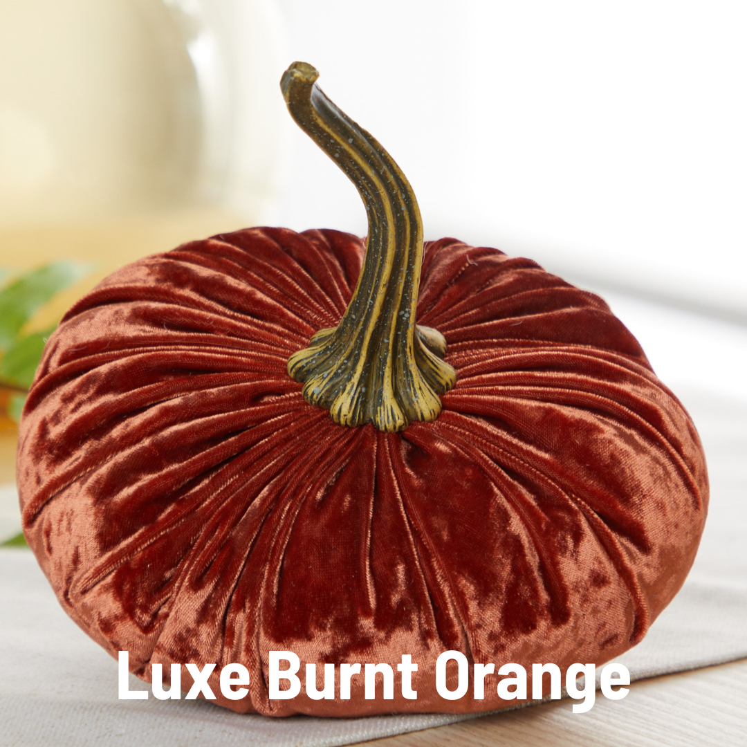 Velvet Pumpkin Large - Harvest