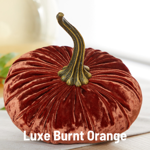 Velvet Pumpkin | Large - Burgundy