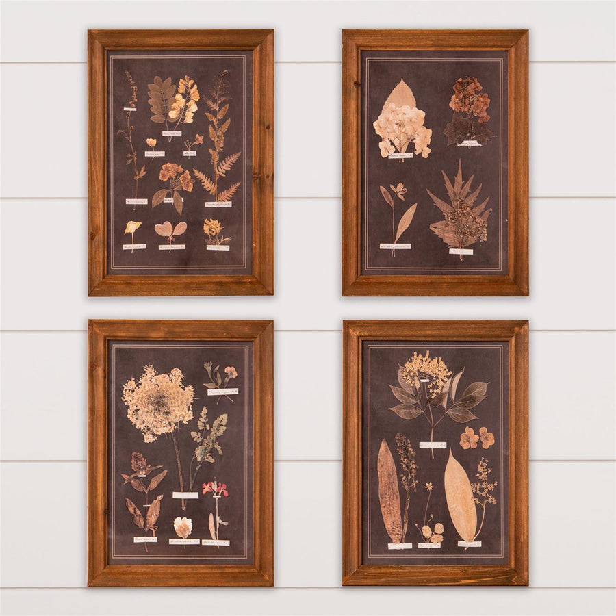 Botany Leaf Framed Print