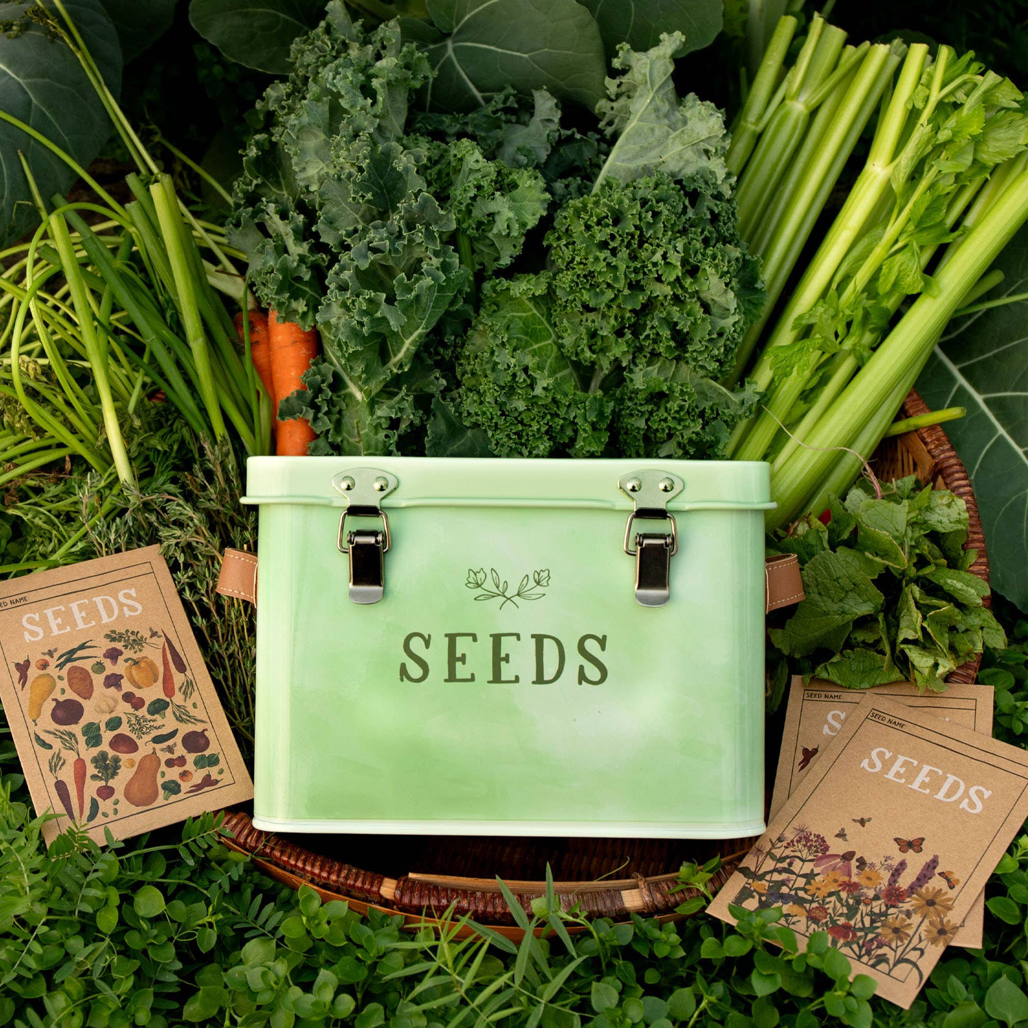 Tin Seed Box | Green Thumb