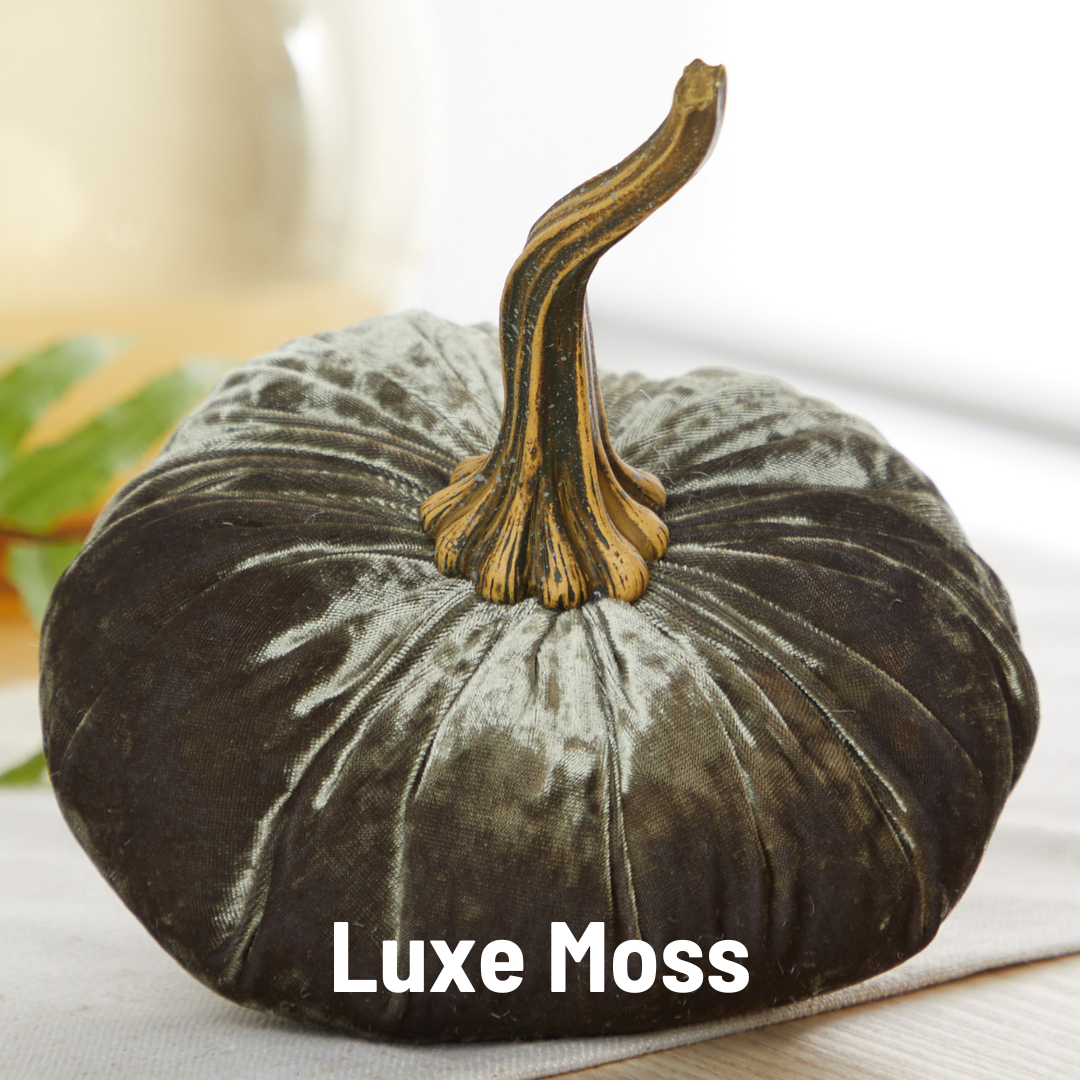Velvet Pumpkin Large - Harvest
