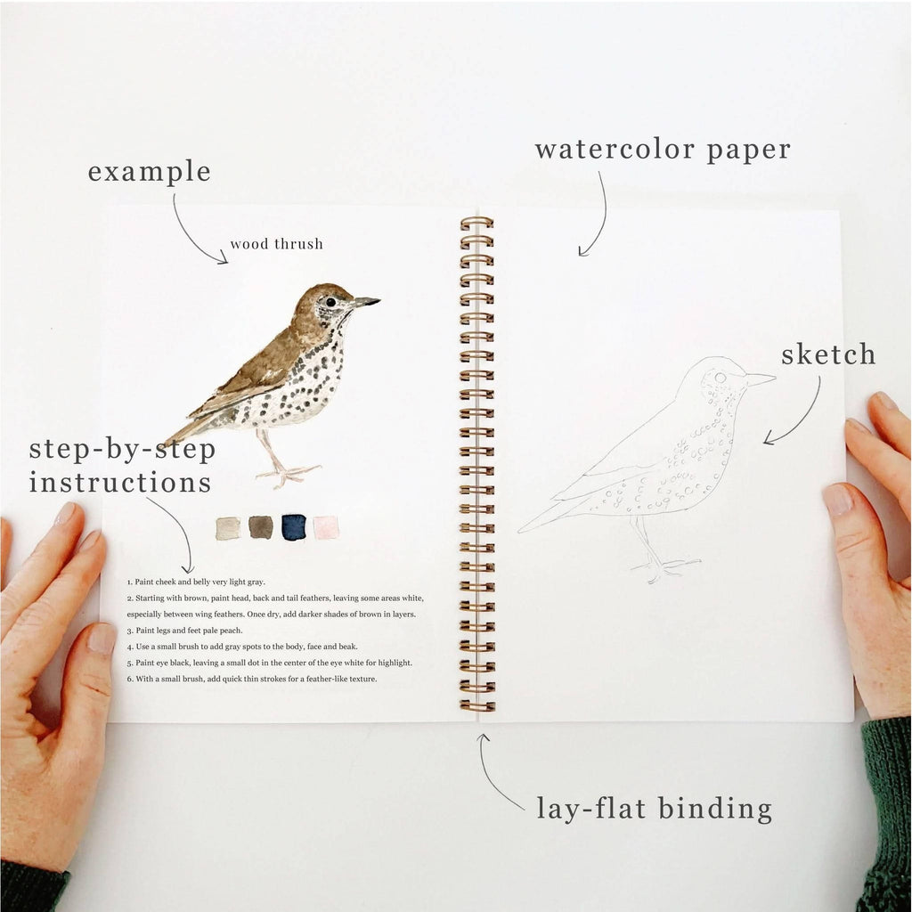 Watercolor Workbook | Birds