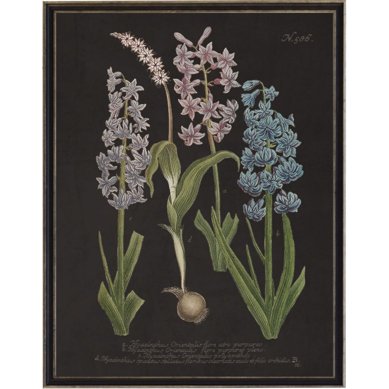 Vintage Flowers Bookplate | 8" x 10"