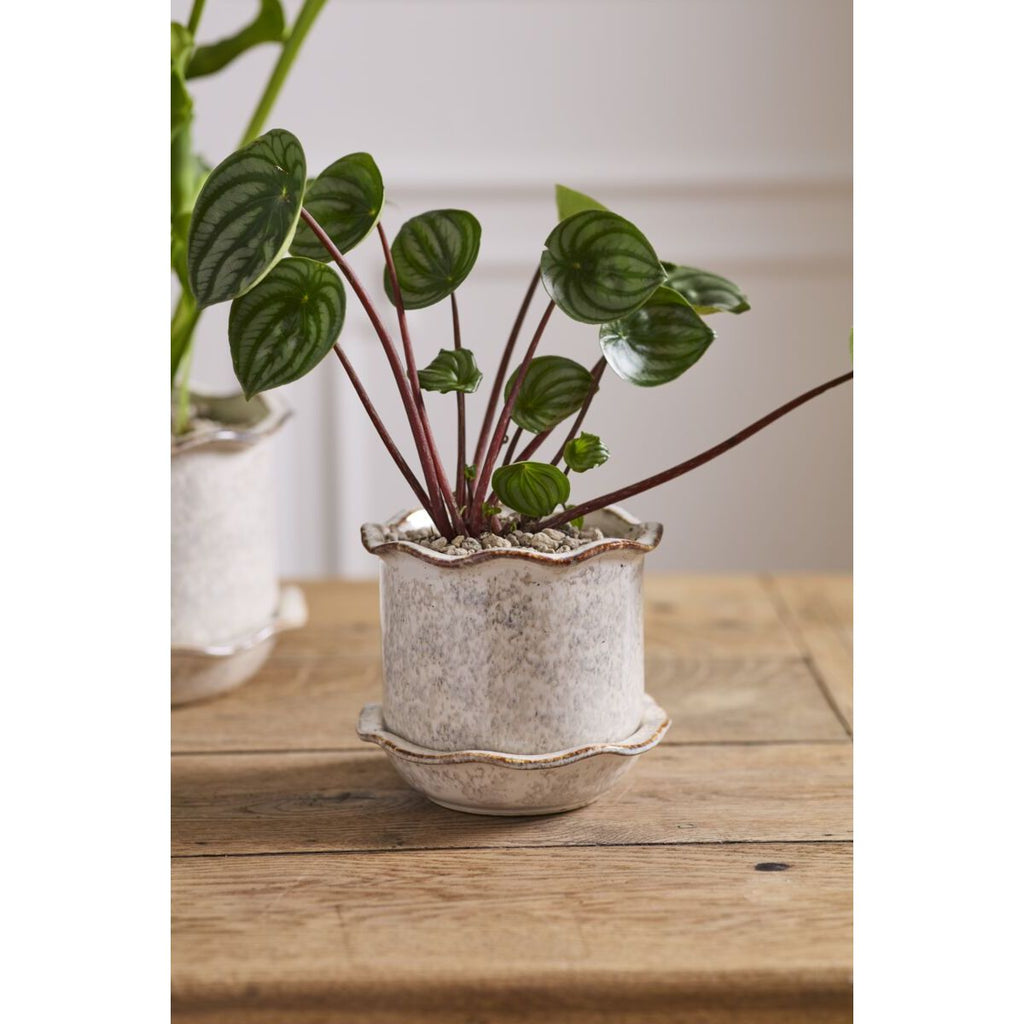 Heirloom Stoneware Planter