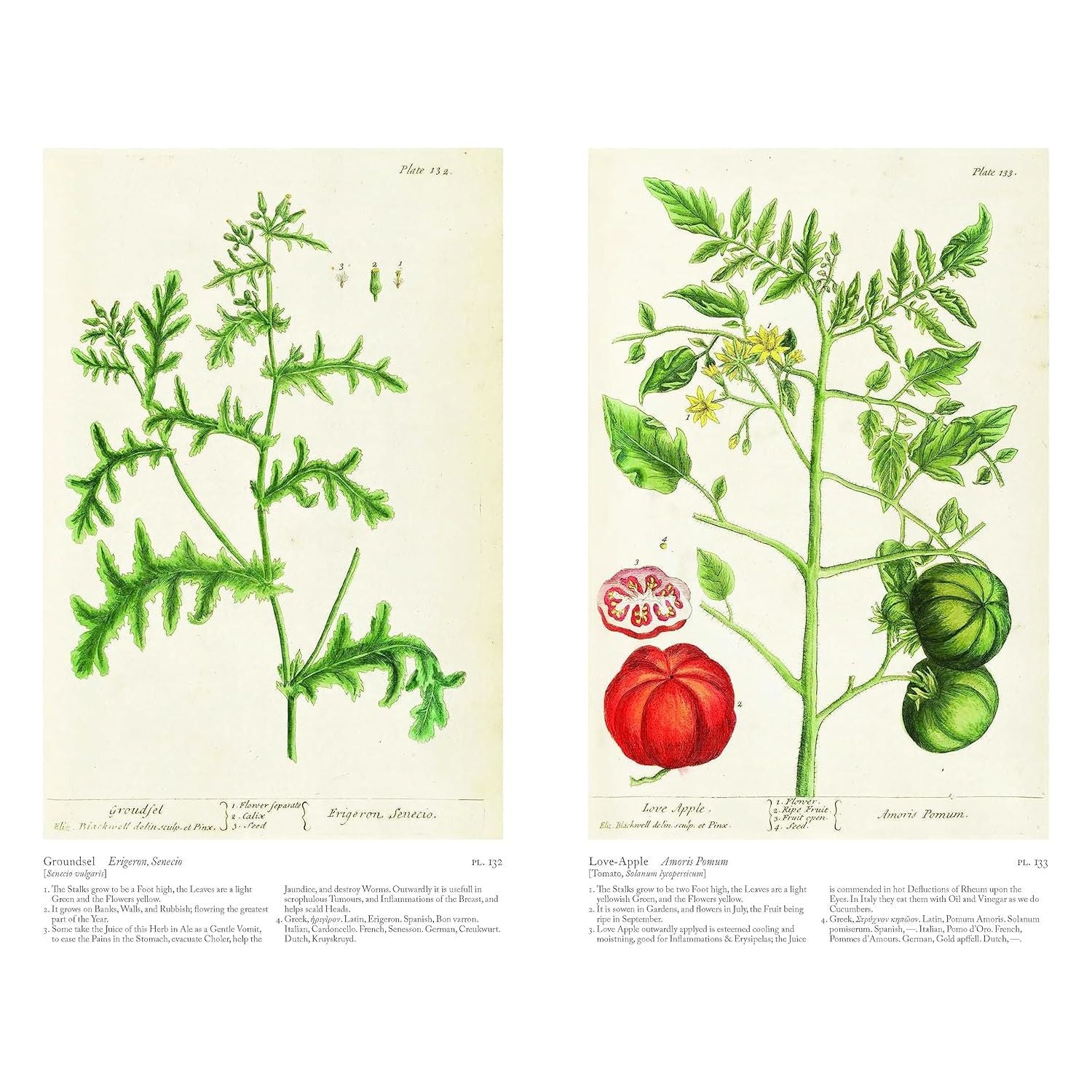 A Curious Herbal