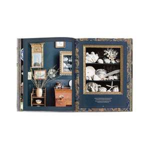 Sean Scherer's Vignettes