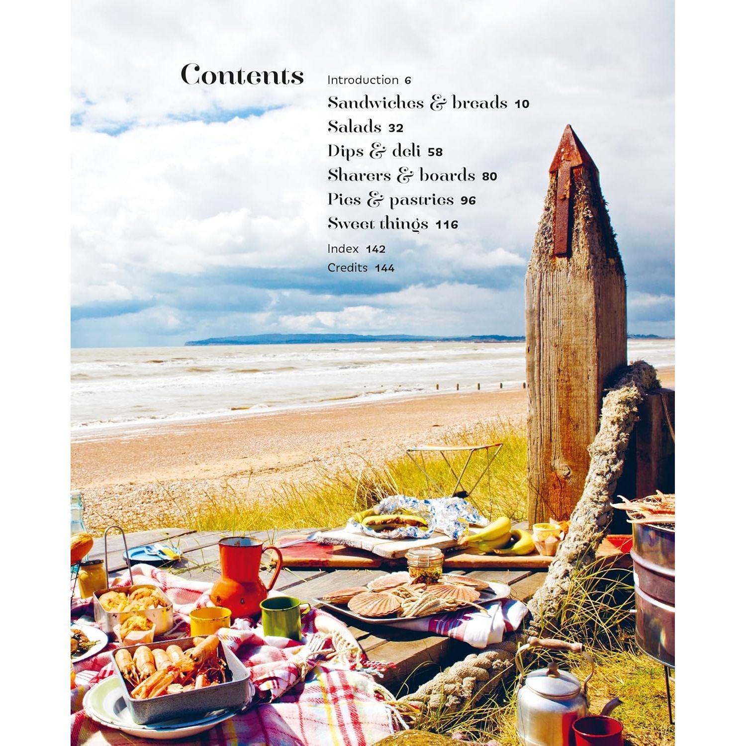 Picnic | Tempting Transportable Recipes for Outdoor Eating