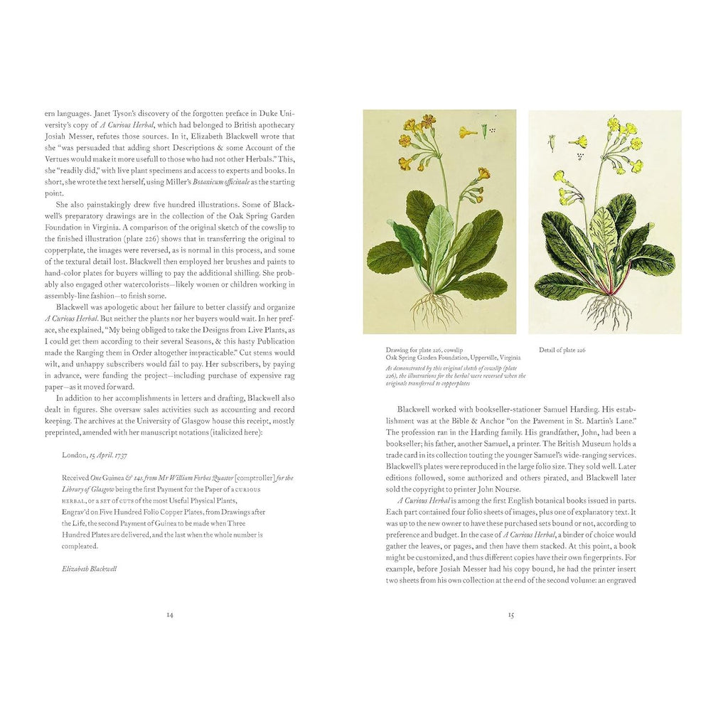 A Curious Herbal