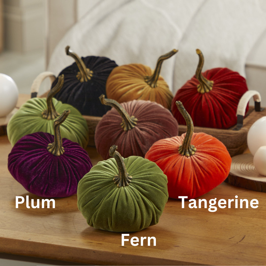Velvet  Pumpkin | Small - Avocado