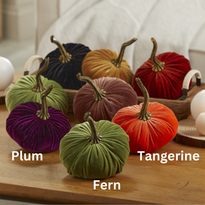 Velvet Pumpkin | Small- Gold